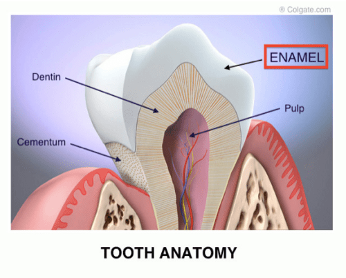 Dental enamel